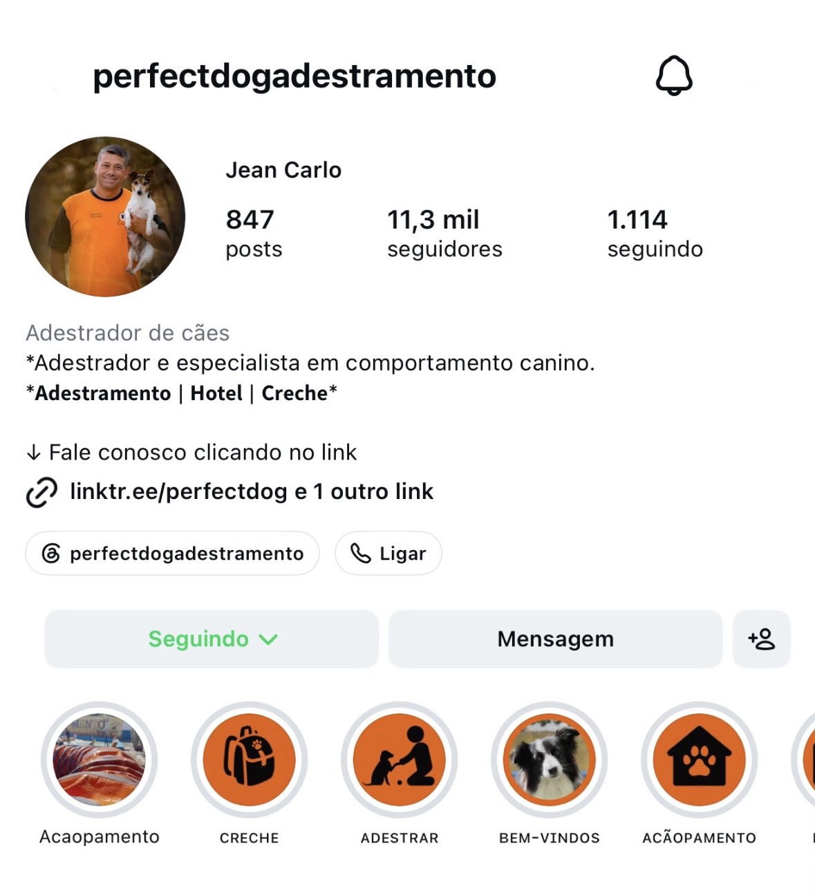 Perfil da Perfect Dog no Instagram com mais de 11 mil seguidores