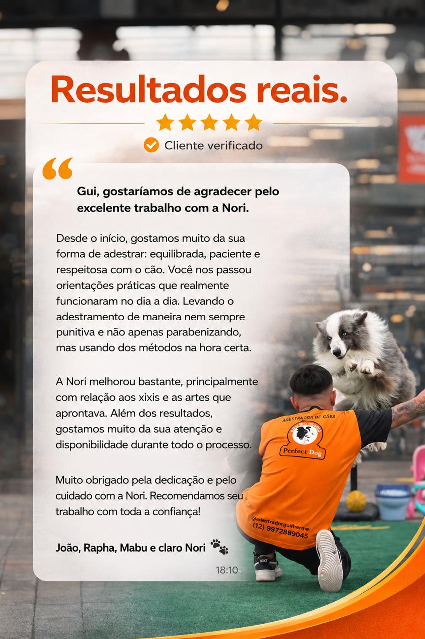 Depoimento de cliente sobre o adestramento da cadela Nori