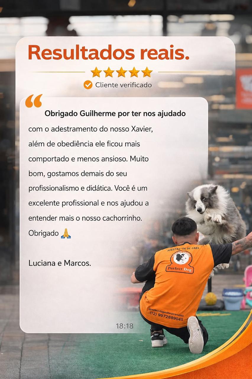 Depoimento de Luciana e Marcos sobre o adestramento do Xavier