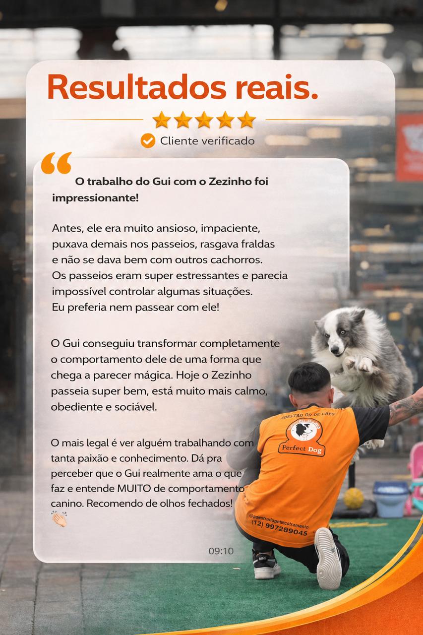 Depoimento sobre a transformação do comportamento do Zezinho