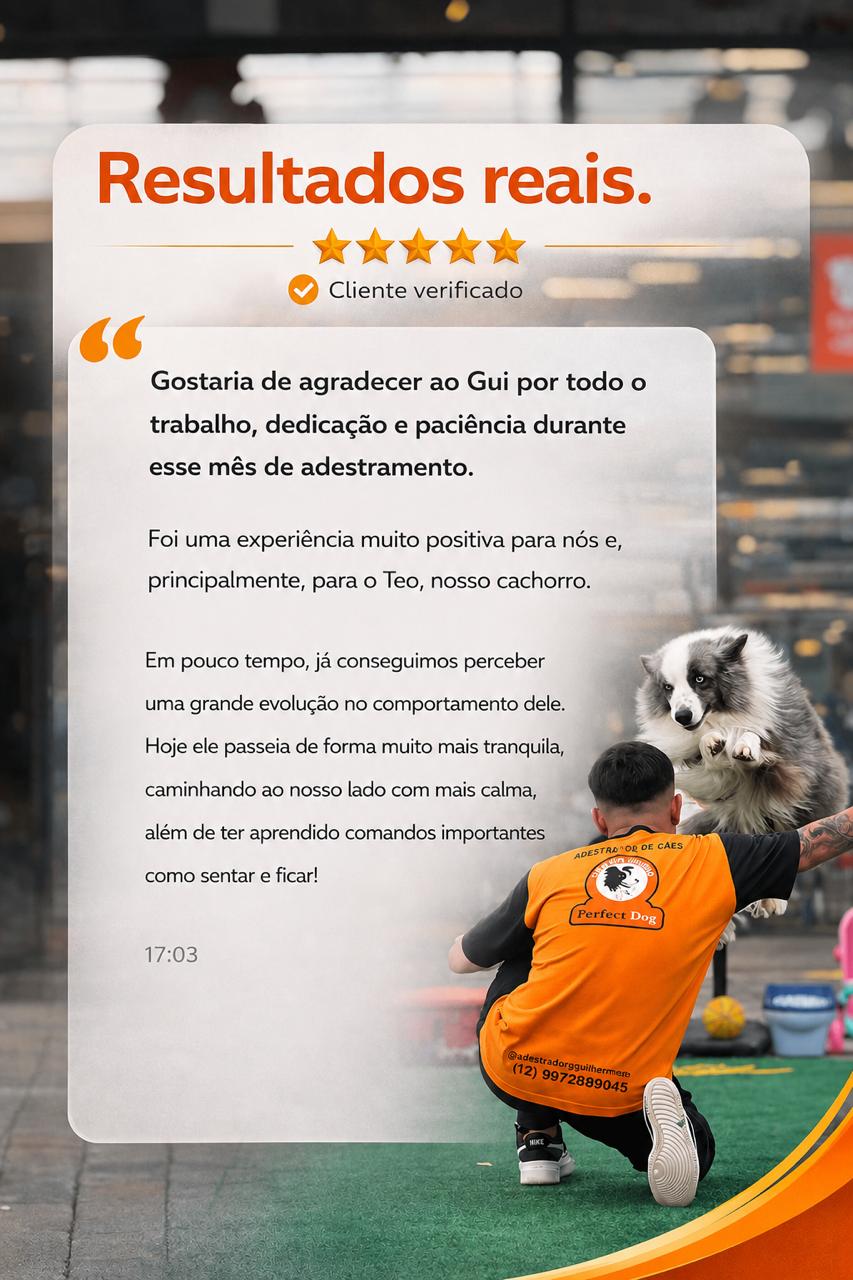 Depoimento sobre a evolução do cão Teo após o adestramento