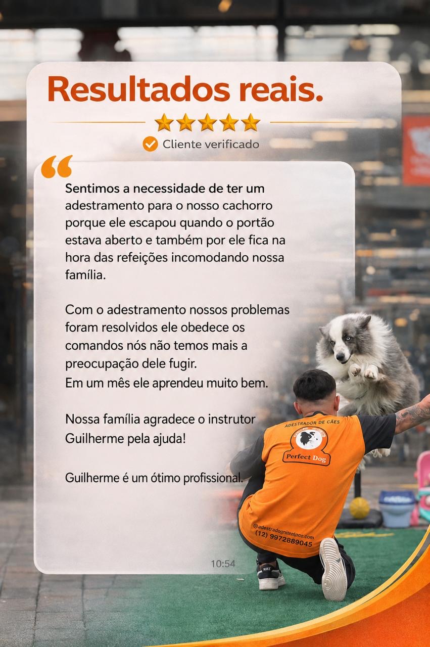 Depoimento de clientes recomendando o trabalho com a cadela Nori