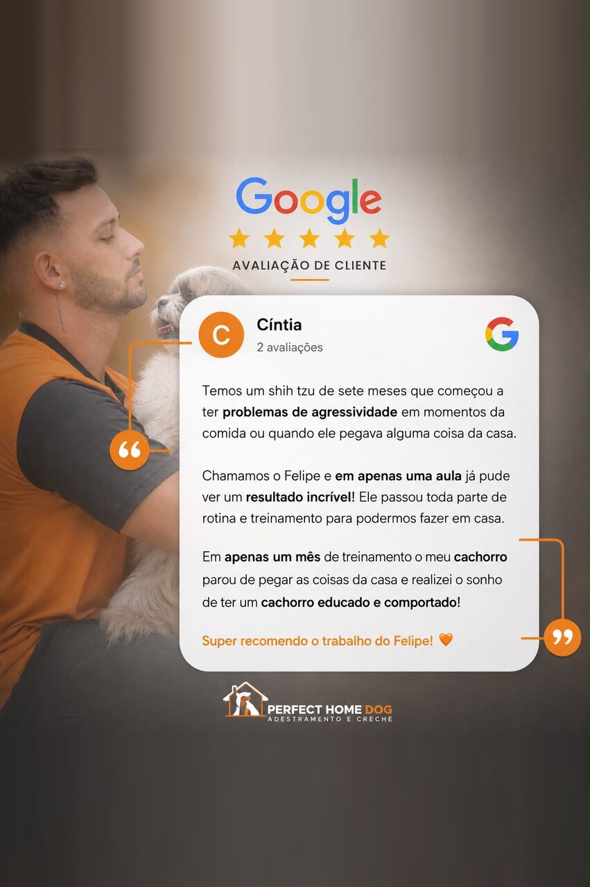 Avaliação de cliente no Google sobre a agressividade resolvida de um shih tzu