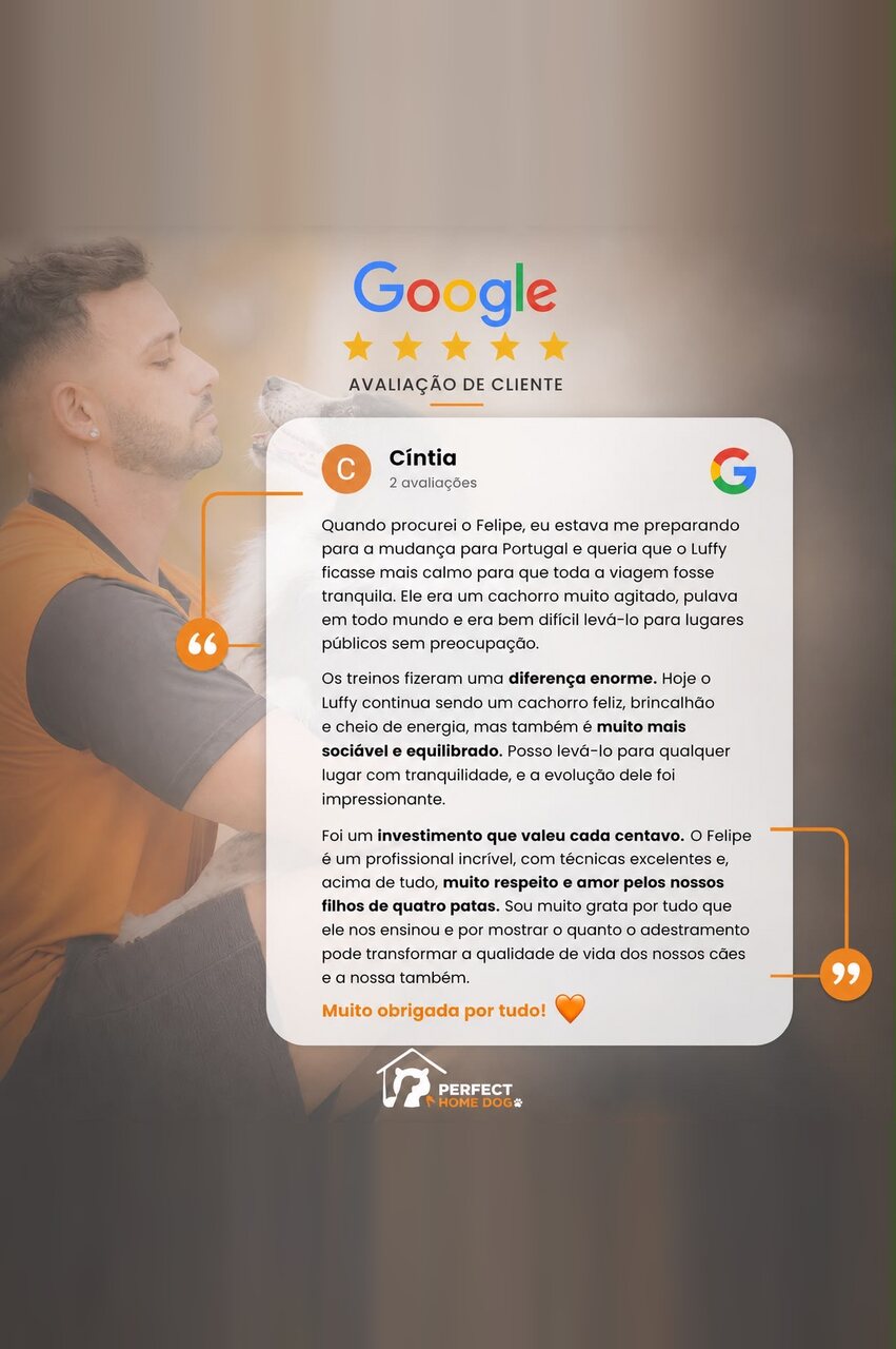 Avaliação de cliente no Google sobre a evolução do cão Luffy