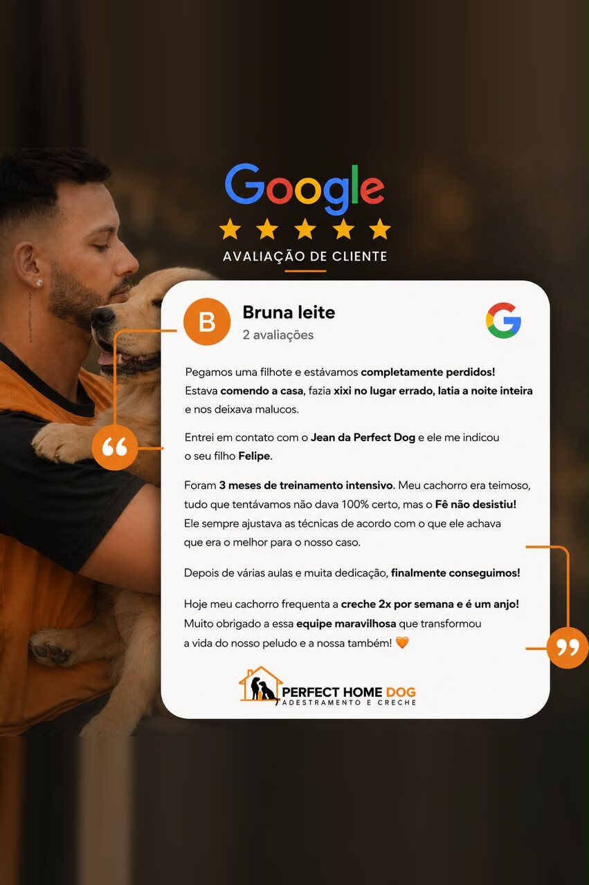 Avaliação de cliente no Google sobre o treinamento intensivo de uma filhote