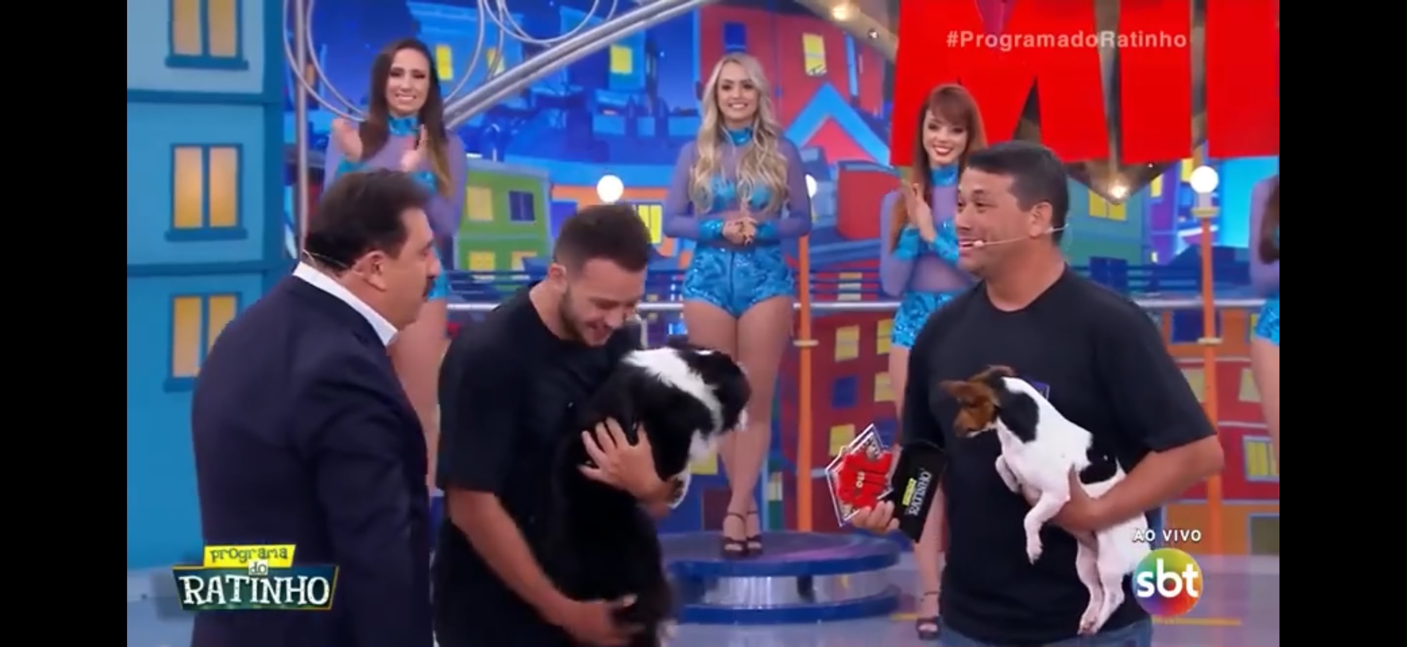 Apresentação de adestramento da Perfect Dog para o público