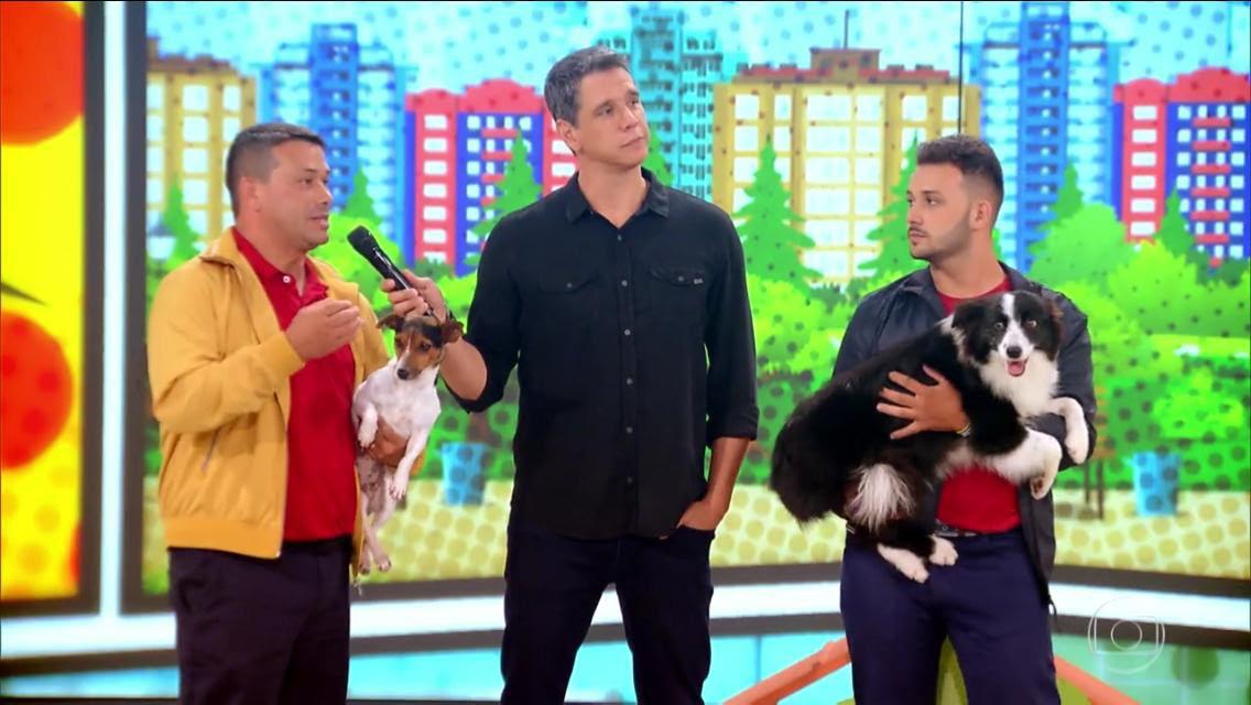 Cão em demonstração de disciplina da Perfect Dog
