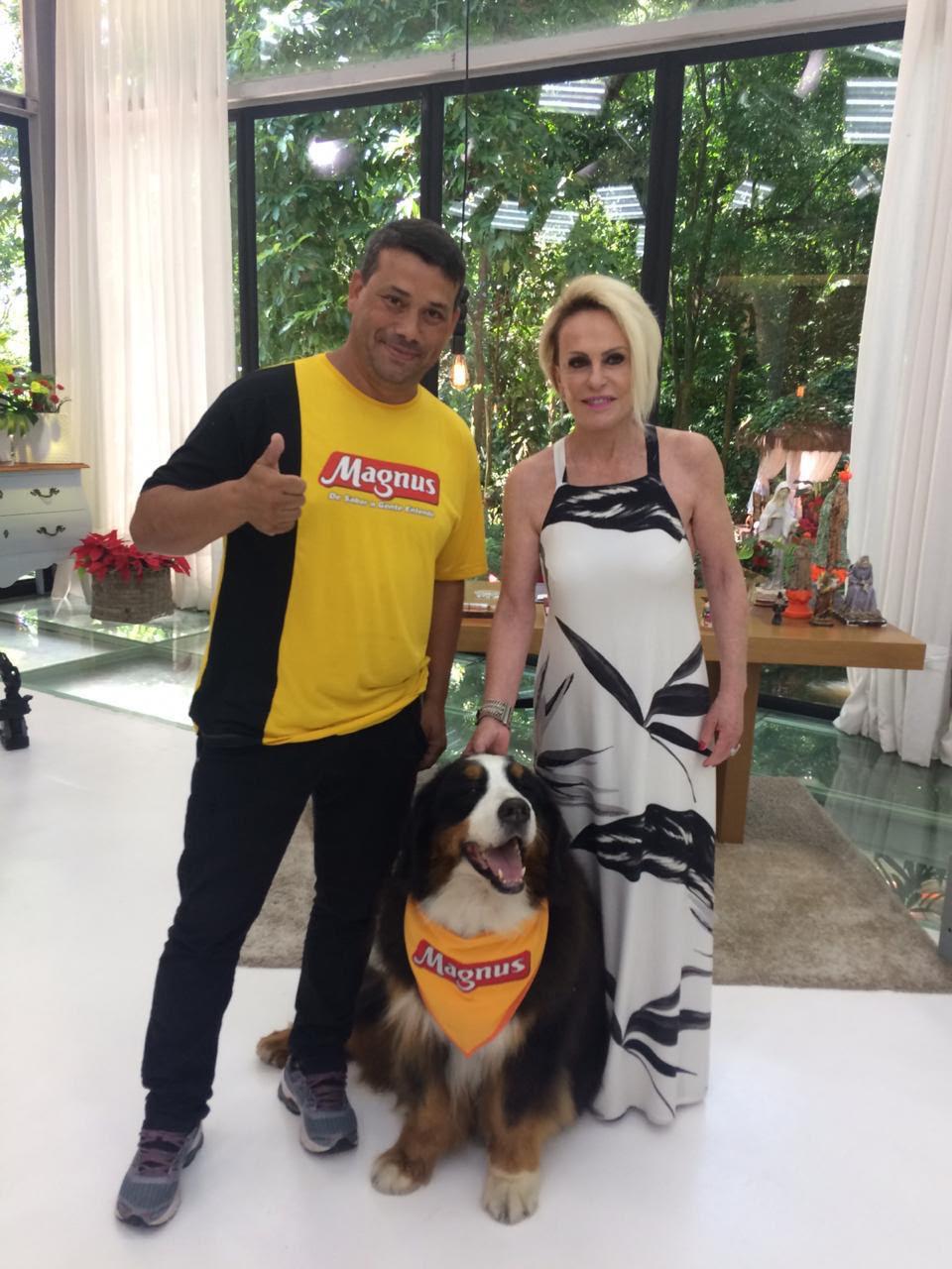 Apresentação profissional de adestramento da Perfect Dog
