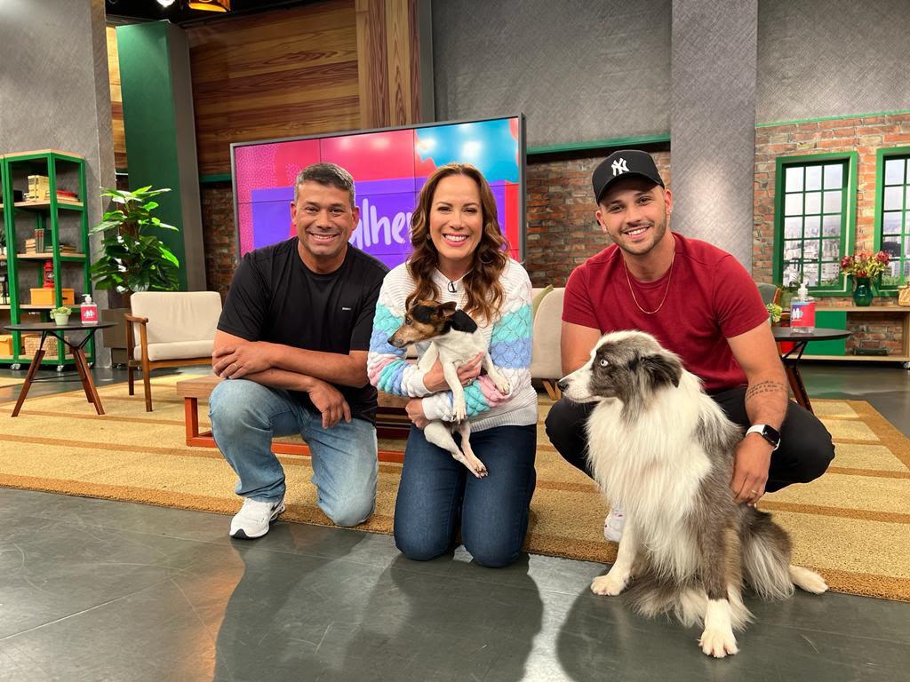Cão treinado da Perfect Dog em apresentação